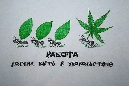 🌿 Цитата дня
