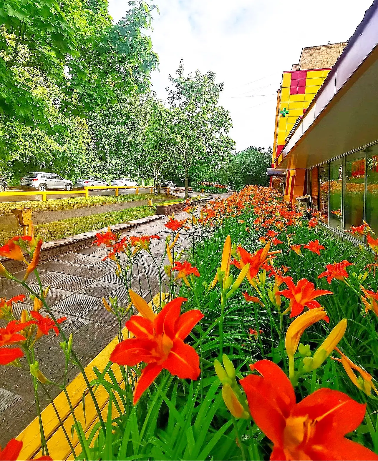Селятино.
🌺🌺🌺🌺🌺🌺🌺🌺
Сегодня +22 , дождь начнется после 14 дня в нашем районе.
.
#селятино
@se