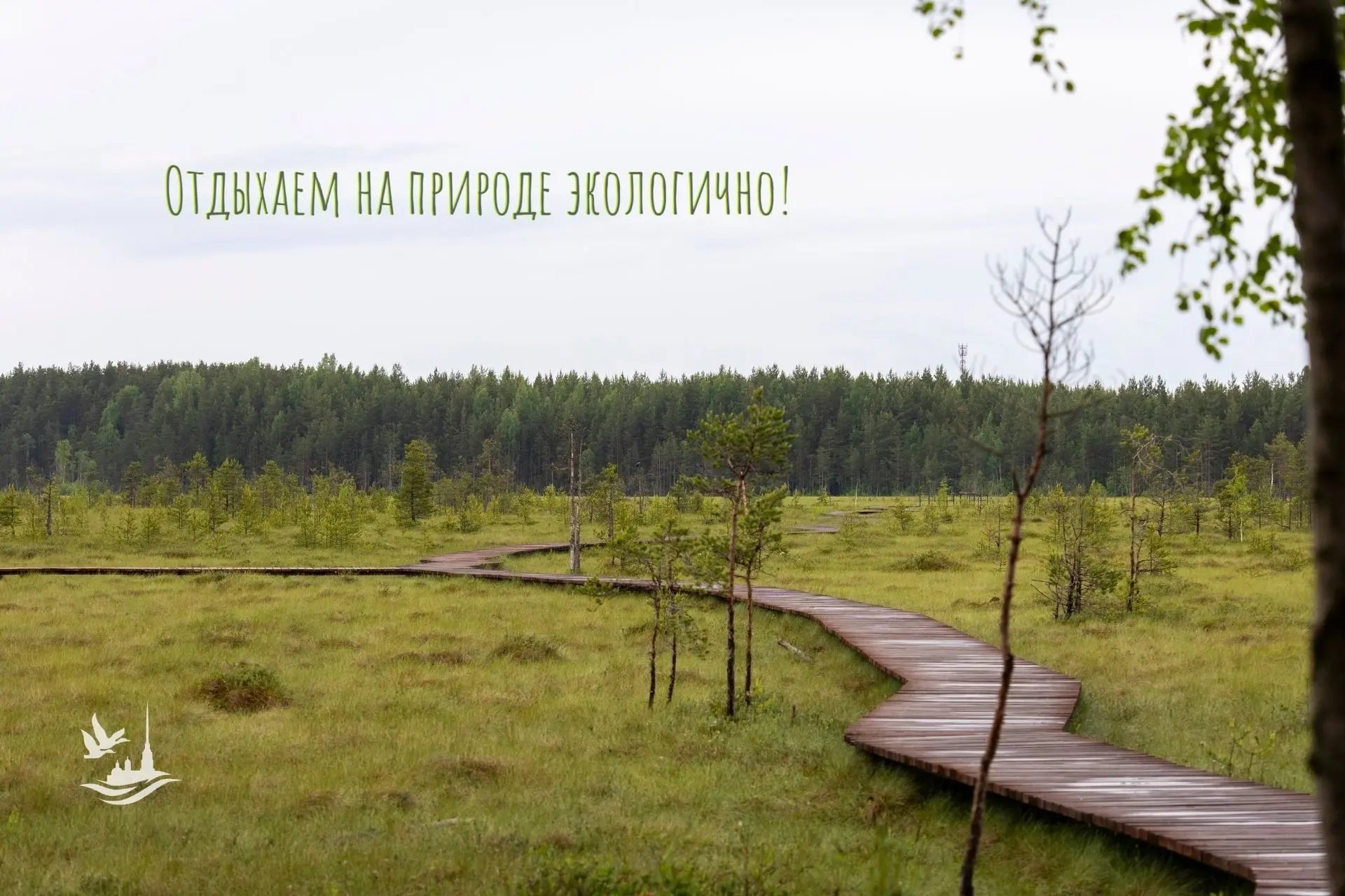 Отдыхаем на природе экологично! 🌿 
 
Лето – отличное время посетить заповедные территории Санкт-Пет