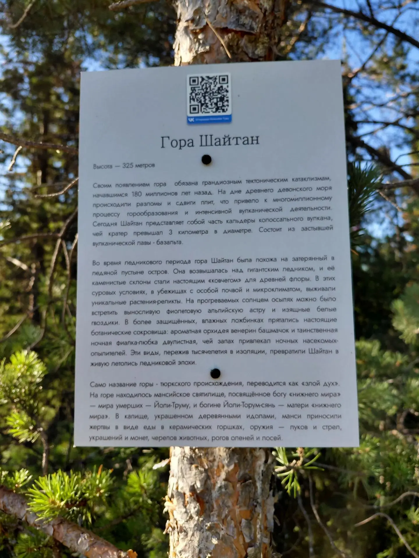 🧑‍🏫☀ПЕРЕЗАГРУЗКА ДЛЯ УЧИТЕЛЯ             Говорят, что учителям летом сложно отдыхать  - мы всегда 