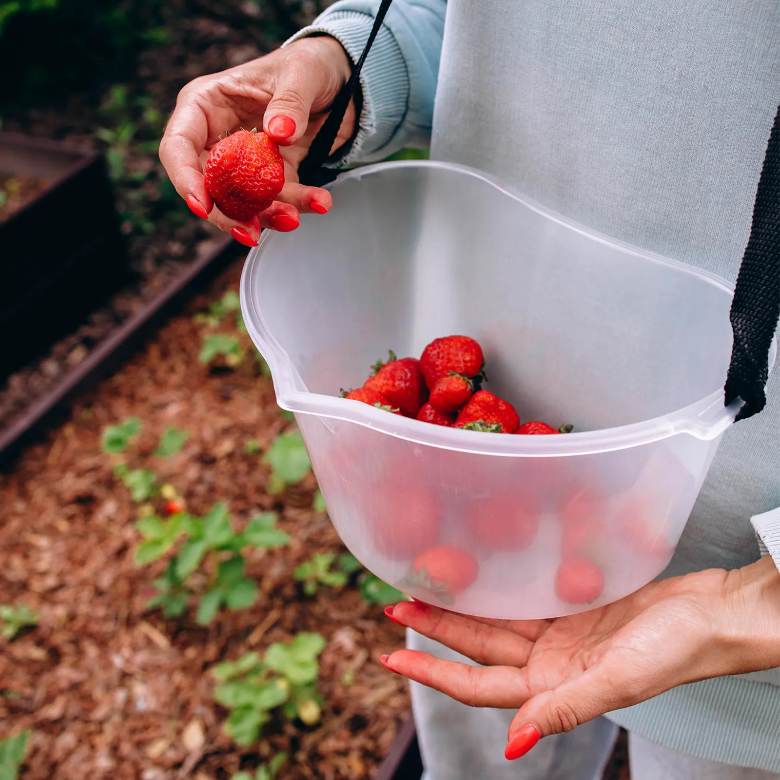 🌞🍓Лето в самом разгаре, а это значит, что пришло время собирать сладкую клубнику, ароматную смород