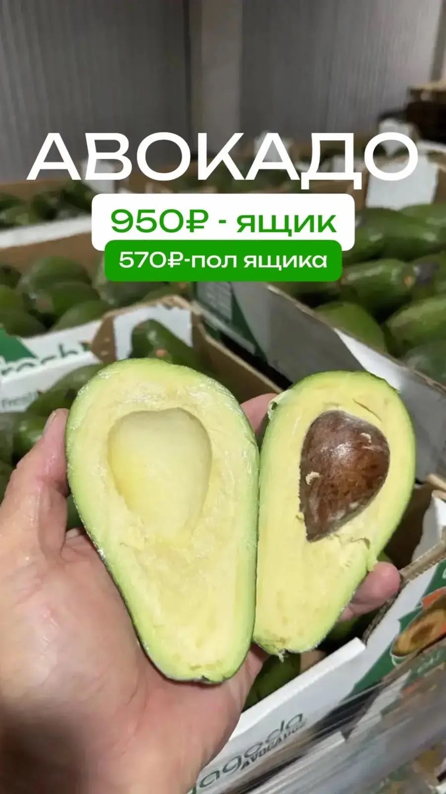 🥑 АВОКАДО — УЖЕ СПЕЛОЕ!