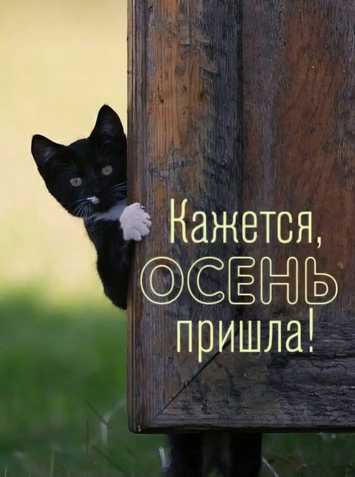 Поздравляю всех с первым днем осени