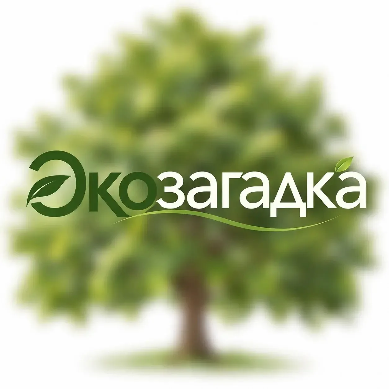 🌳Мы подготовили для вас экозагадку!
