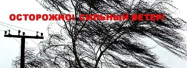 Детализированный прогноз