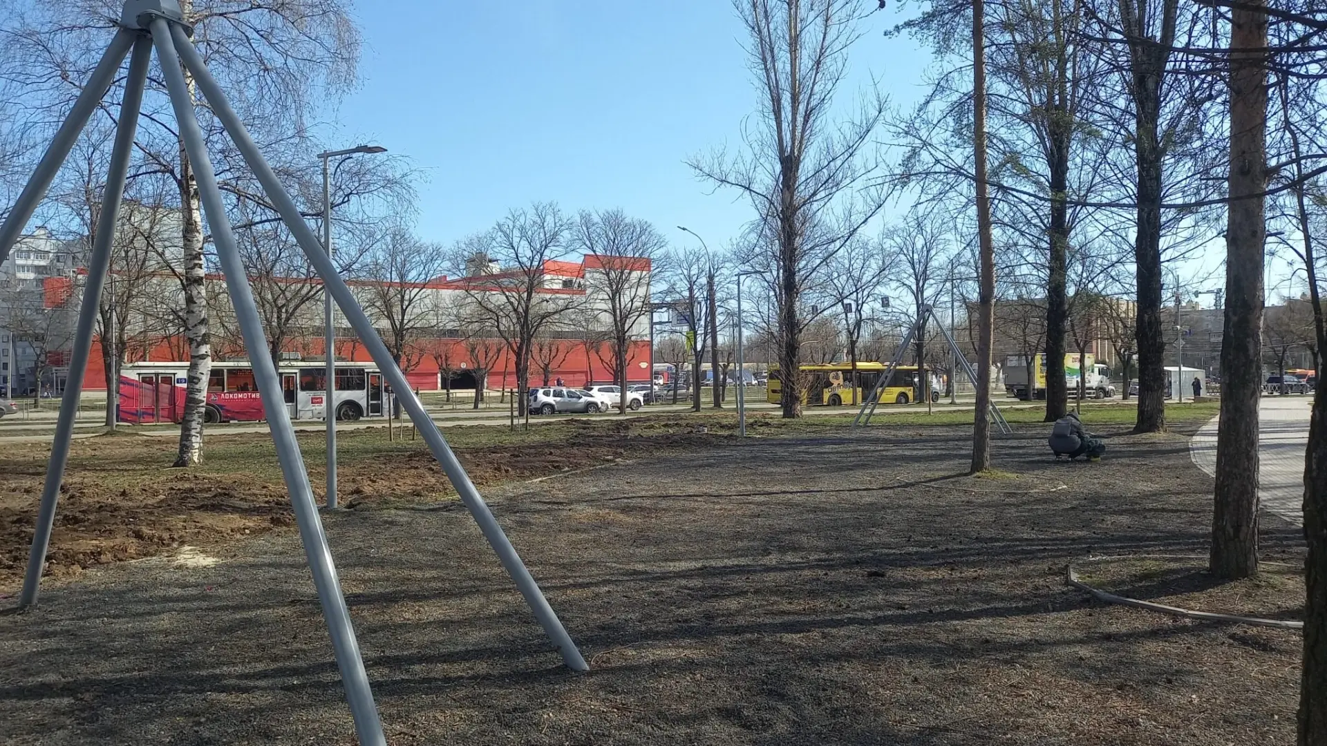 В Ярославле нет денег на ремонт новой тарзанки в брагинском парке