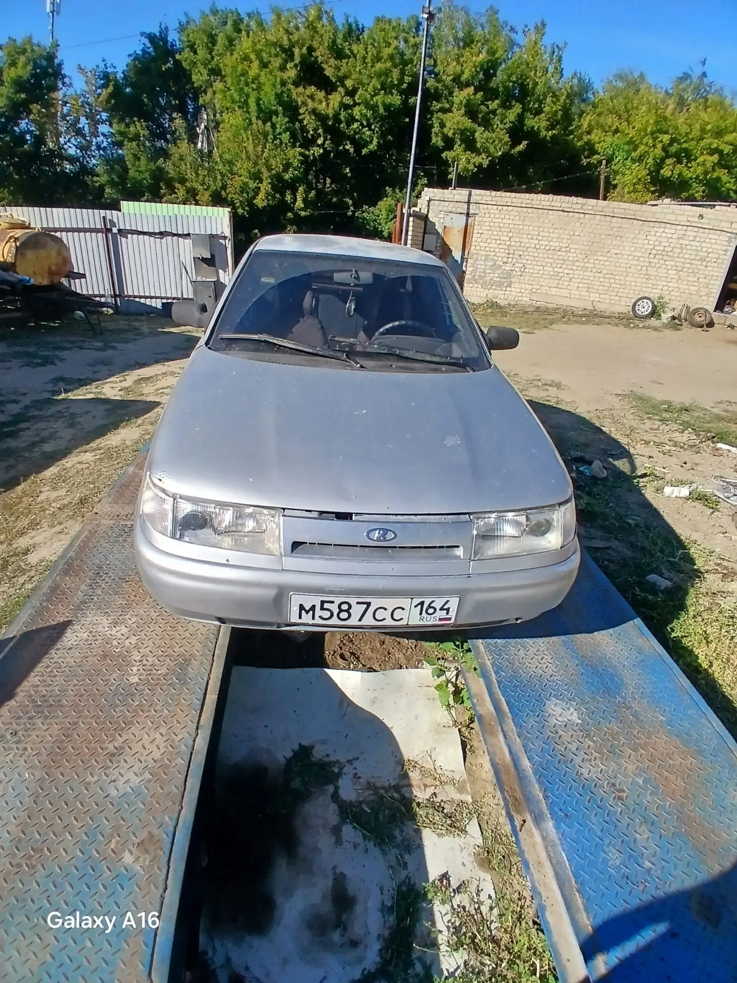 Продам живой двин