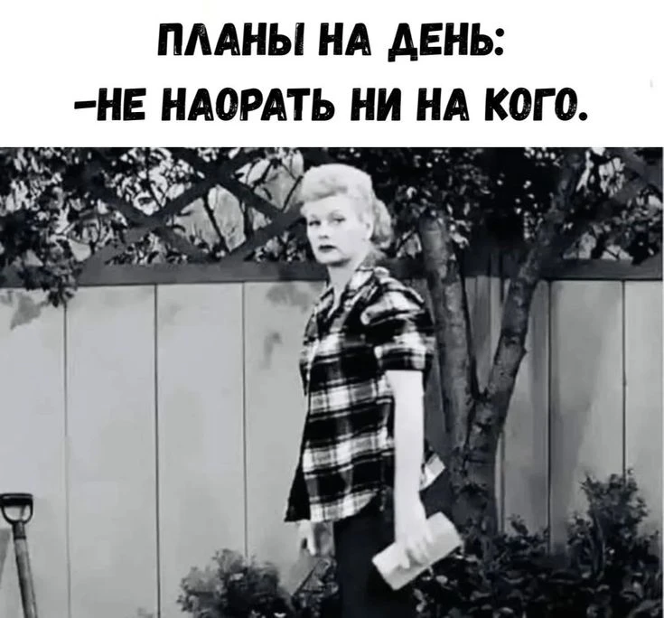 СОЛНЕЧНЫЕ ОТКРЫТКИ