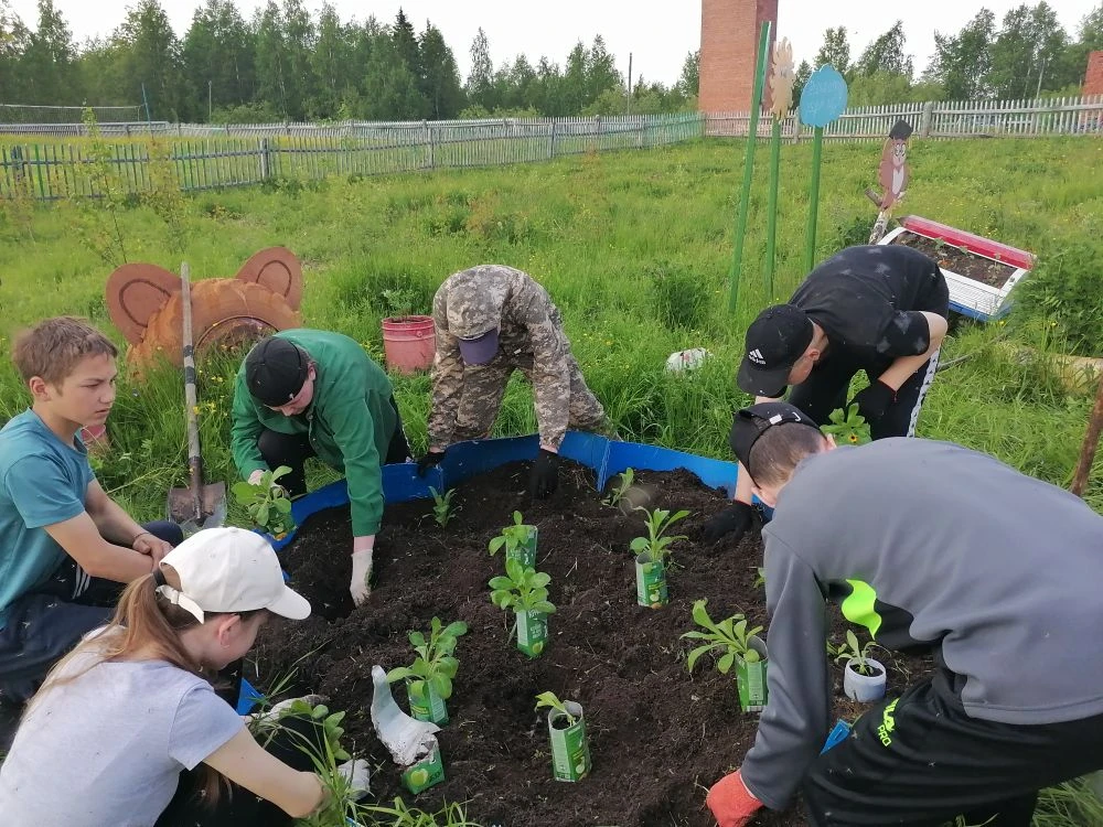 🌷КРАСОТА НА ШКОЛЬНОЙ КЛУМБЕ