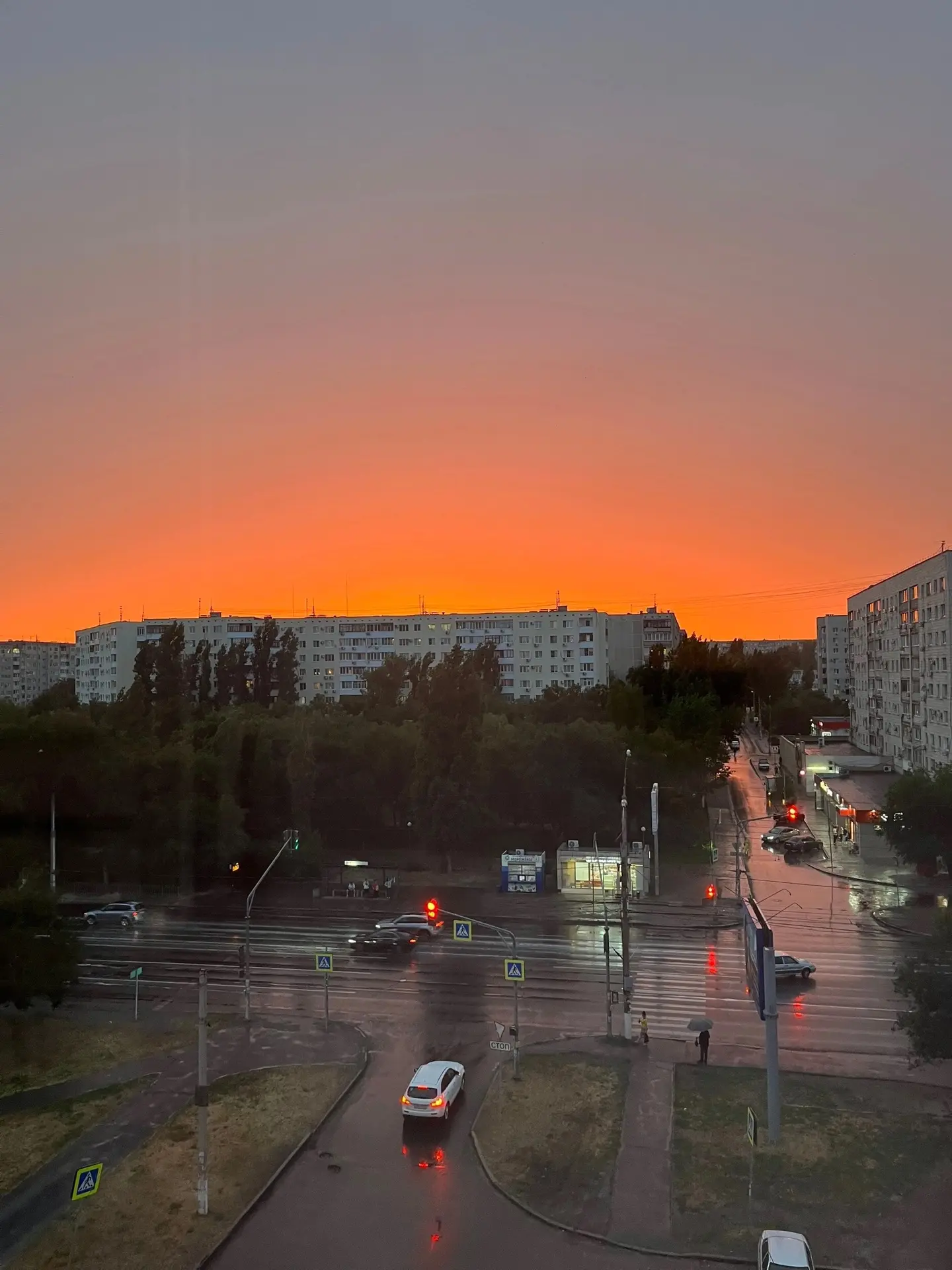 Доброй ночи, Спартановка!🥰