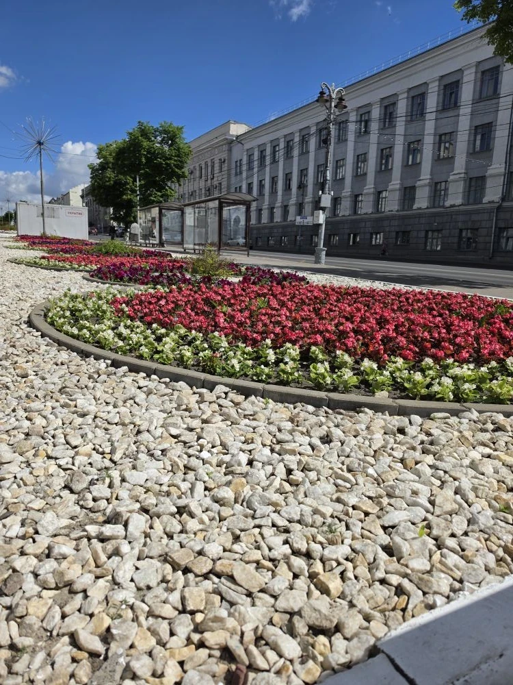 Много цветов,весны и тепла, это все гостиница "Центральная города Курска". 🍀🌹🌸
