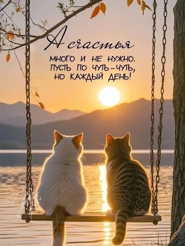Заходи в наш душевный канал в MAX, там красиво: