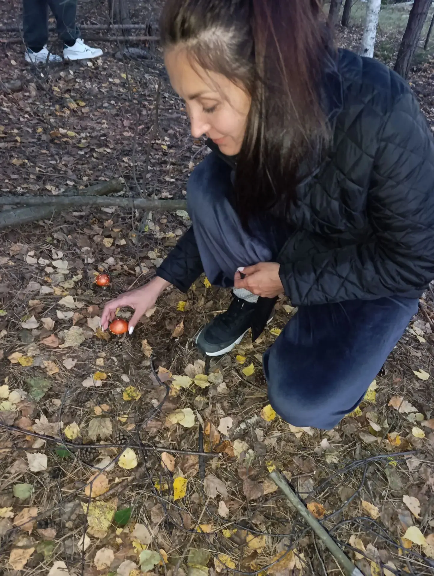 🍂 Семейная тишина леса и яркие мухоморы 🍄