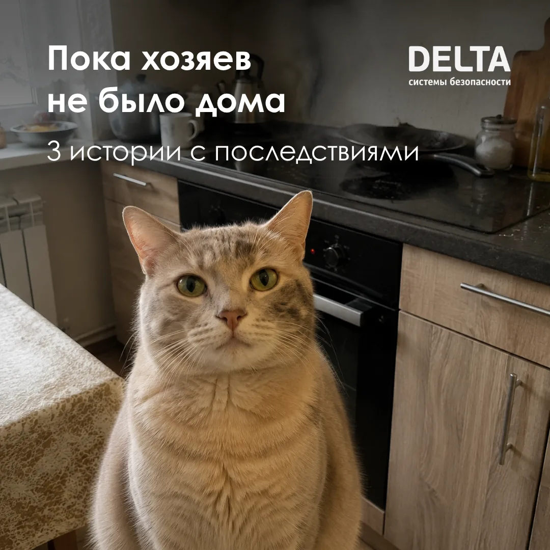 Кот включил плиту, другой – кран. Собака устроила взрыв.