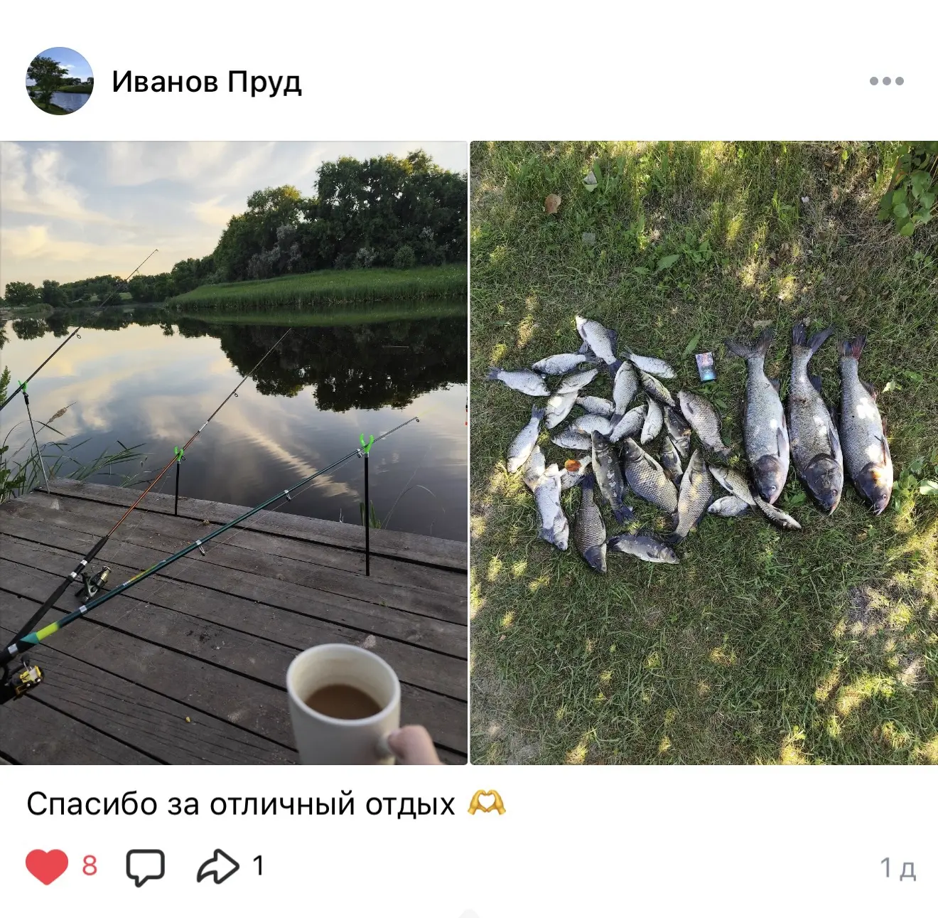 Панинский район, село Казиновка, Иванов пруд 🎣