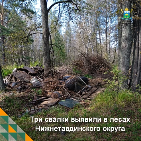⚠ Во время патрулирования сотрудники Тюменского управления лесами выявили три несанкцио...