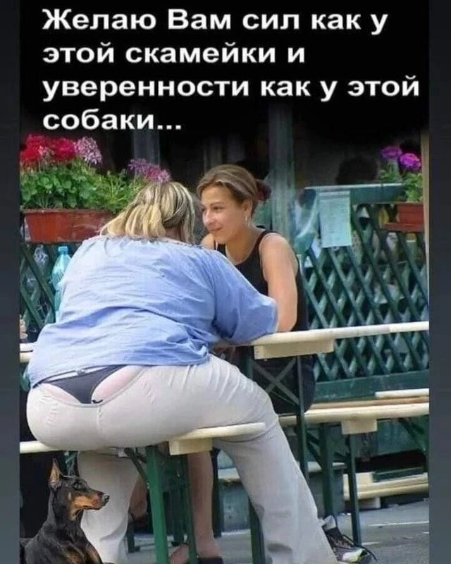 Вечер добрый.