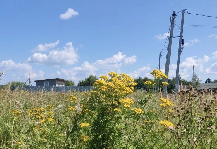 ☀️Солнце встало, значит день начался. Приветствую!