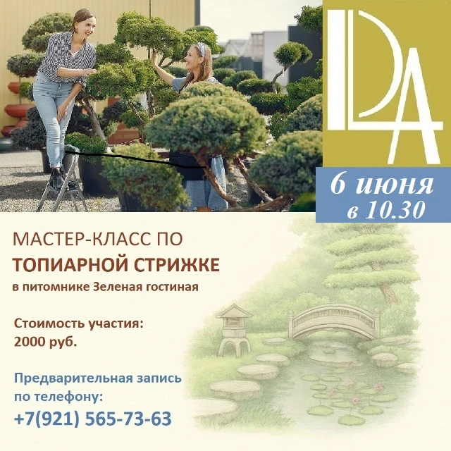 🌳 Хотите превращать обычные кустарники в стильные садовые формы?