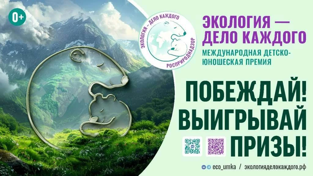 Светлые идеи и большие победы читателей "Игнатовки"