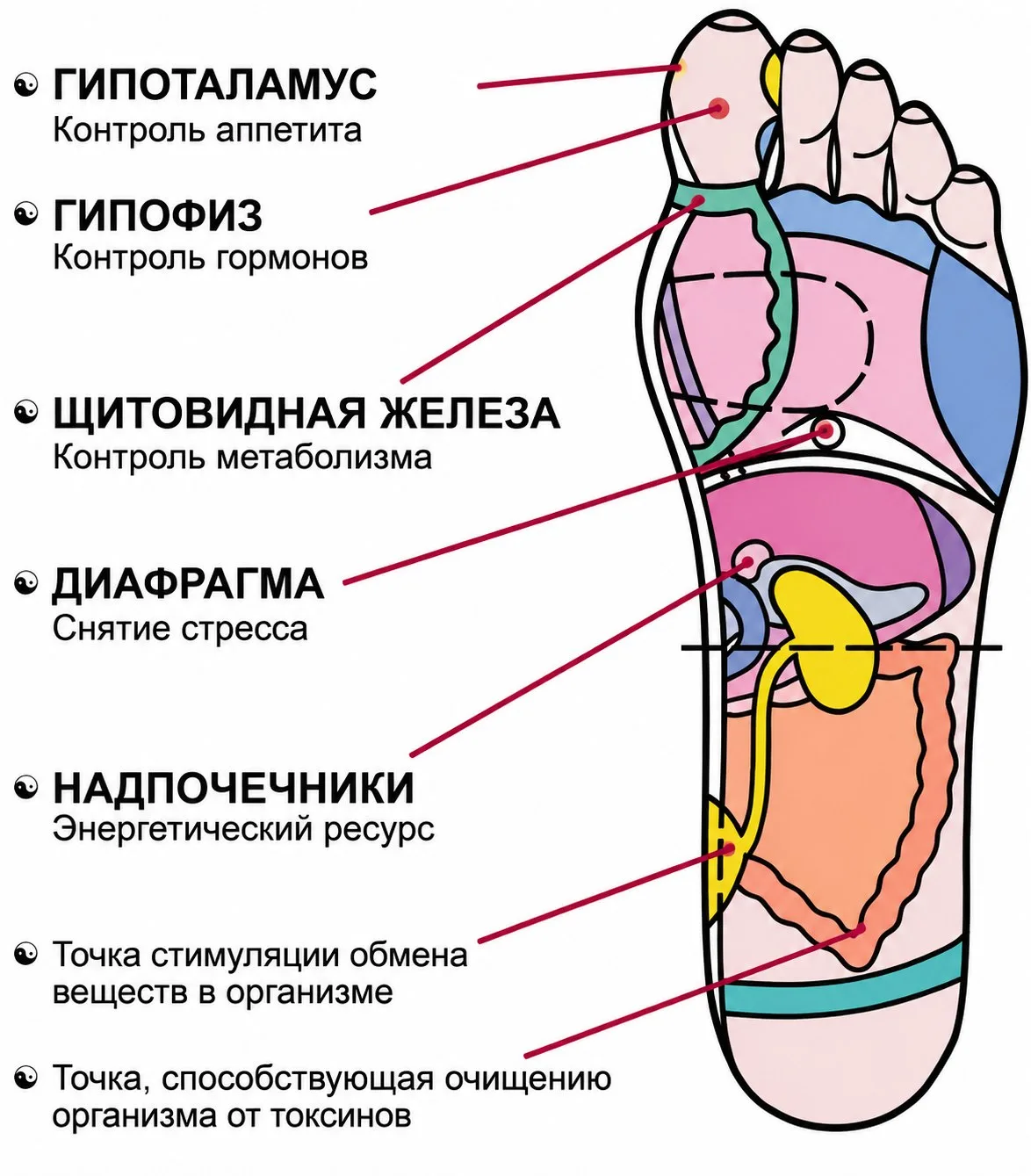 Три точки для активации жизненной силы