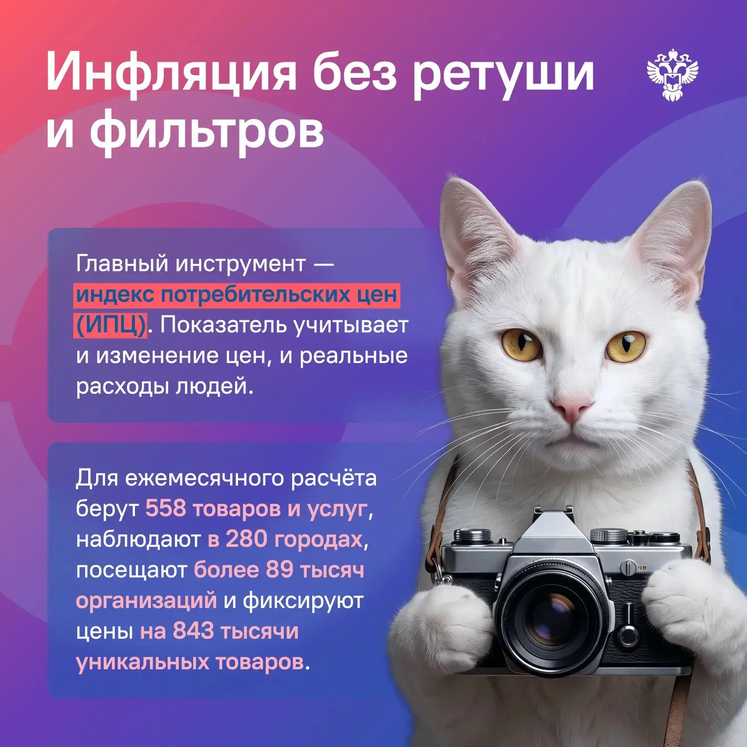 К Всемирному дню фотографии: как фотоаппараты влияют на инфляцию? 📸