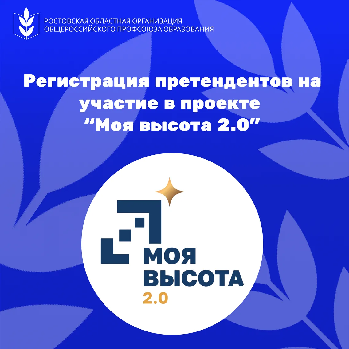 В Ростовской области стартовал региональный проект «Моя высота 2.0»