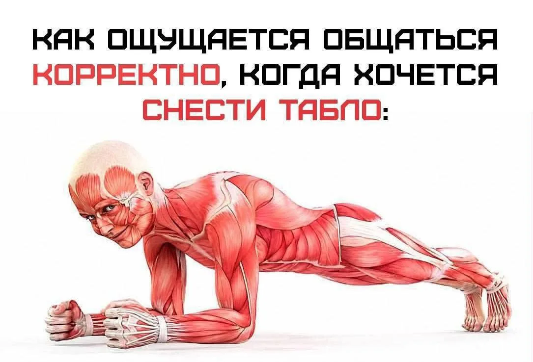 Доброе утро, коллеги!