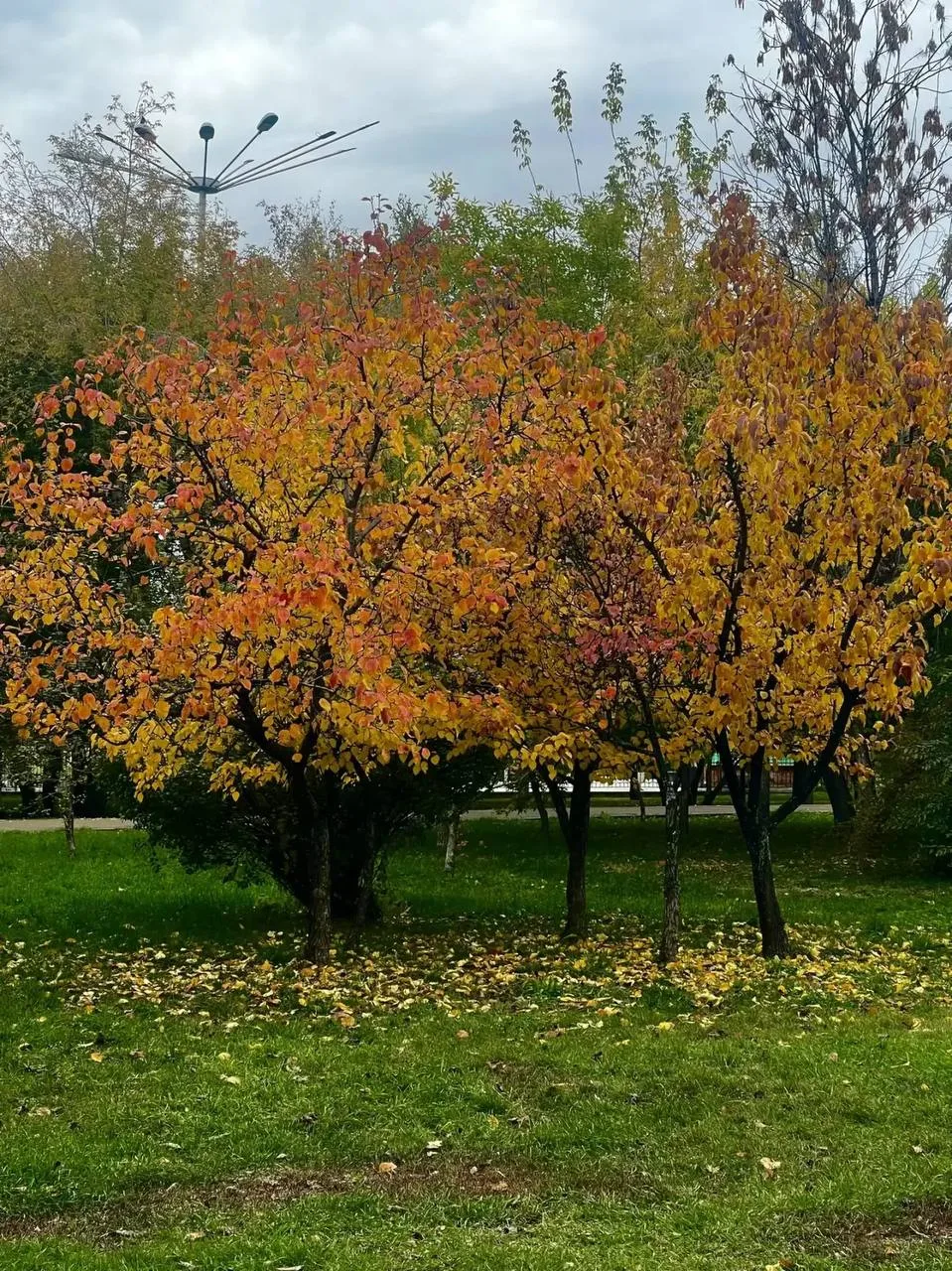 Какой прекрасный закат ❤