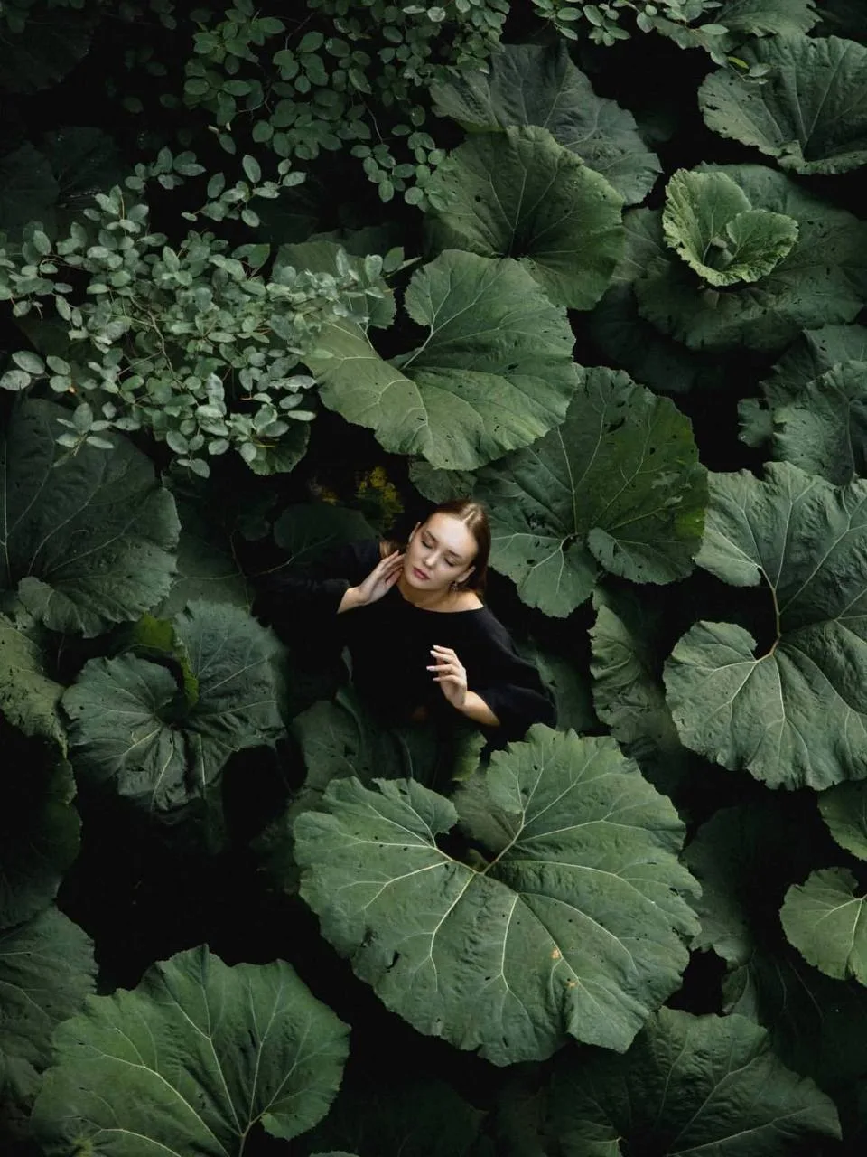 🌿 Фотолокация с гигантскими лопухами в Нескучном саду