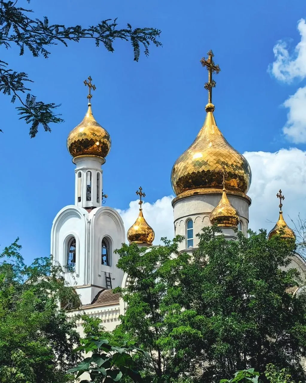 Изображение 2 к публикации «Нескучный Ростов | Афиша 161.RU»