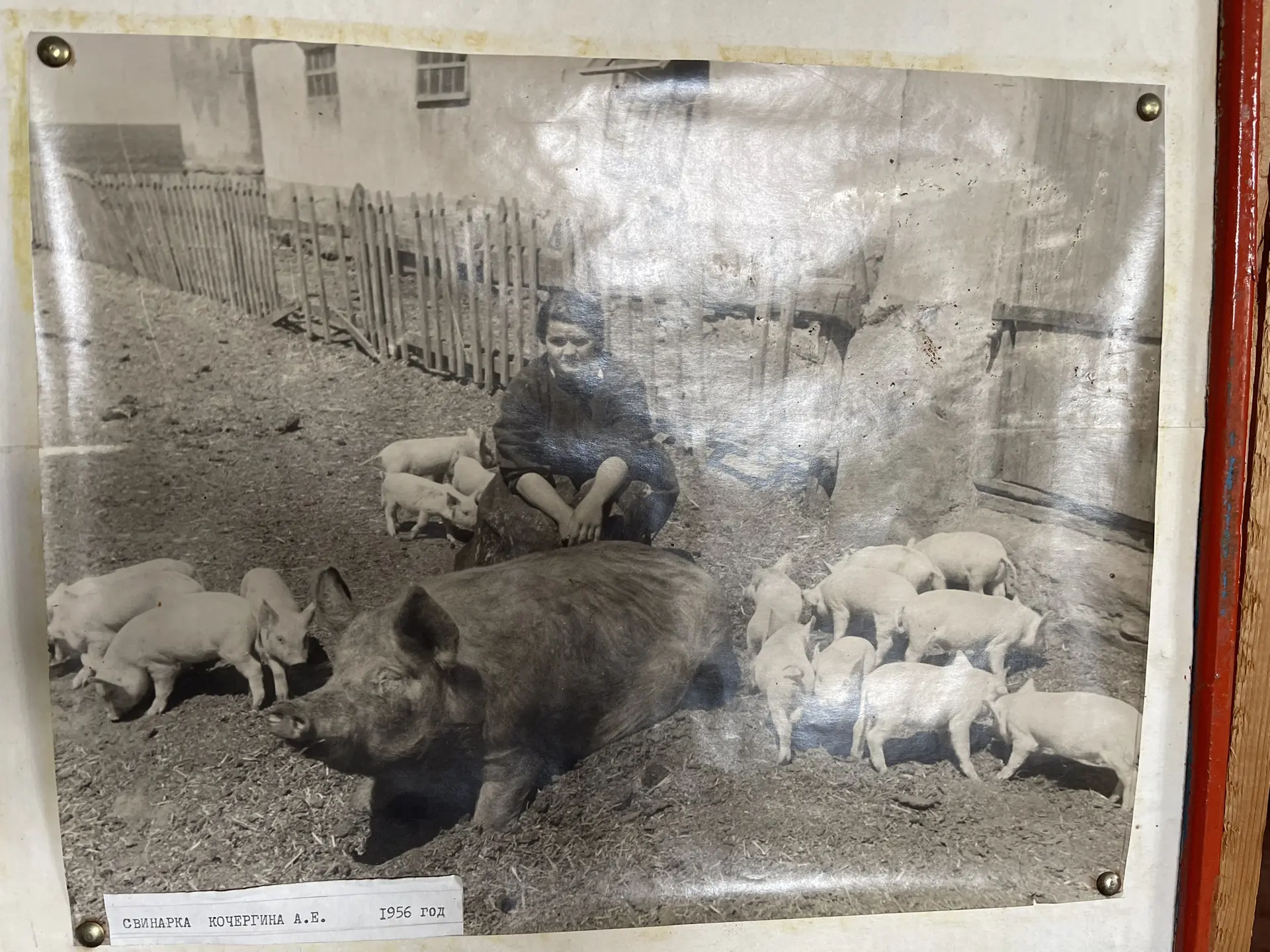 По просьбе наших подписчиков, начинаем публикацию исторических фотографий из музея Перв...