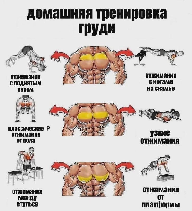 Домашняя тренировка грудных мышц