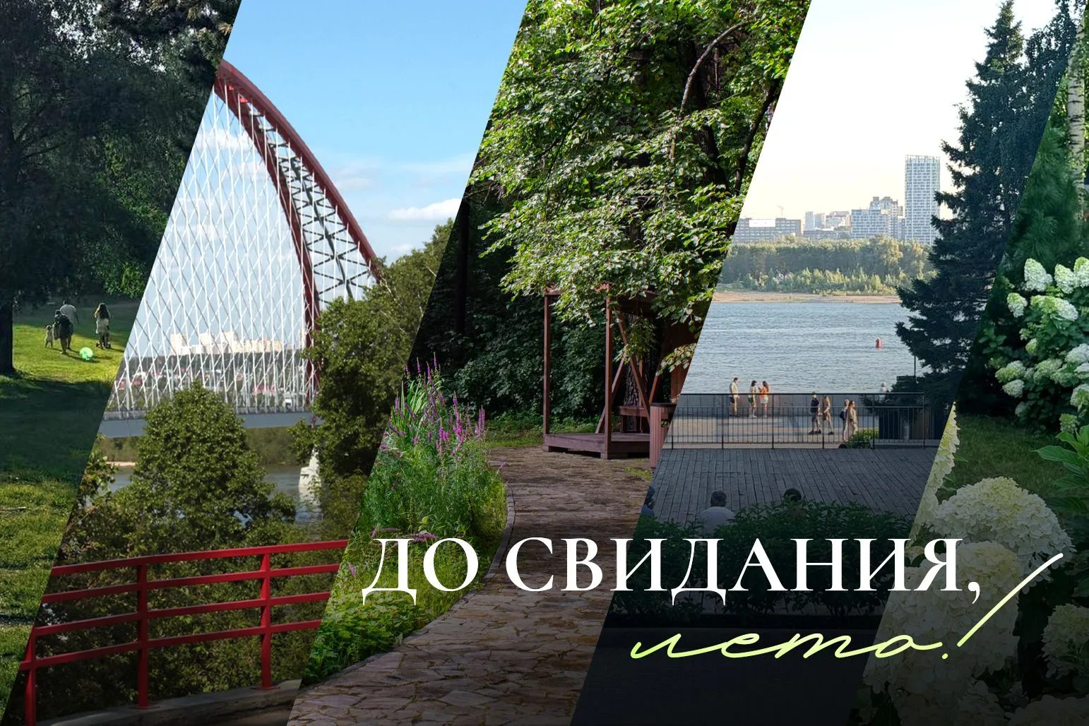 Лето прошло. Воспоминания остались ✨