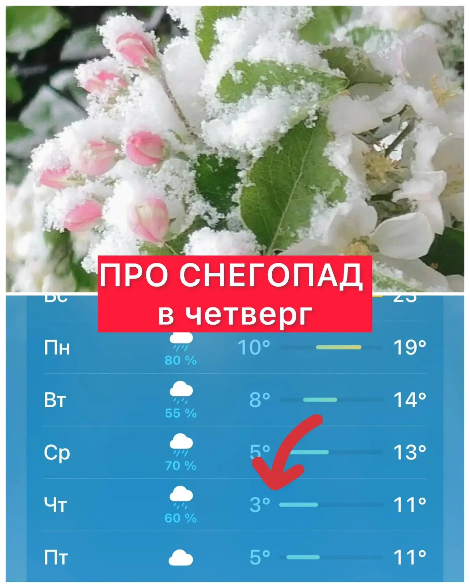 Мокрый снег может пойти в Подмосковье в четверг, — синоптики   В четверг, в тыл циклона задует «кост