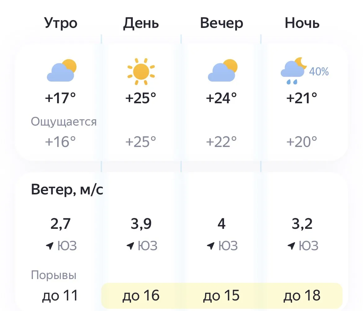 ☀️ Сегодня, 7 августа, погода радует по-настоящему летним теплом. Осадков не ожидается — день будет 