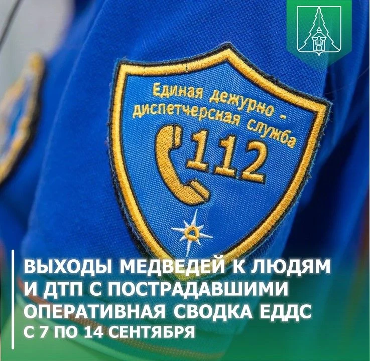 Выходы медведей к людям и ДТП с двумя пострадавшими Оперативная обстановка по сводке ЕД...