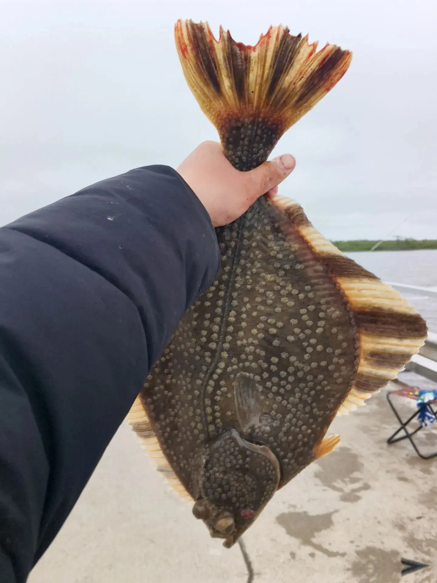 Чайво