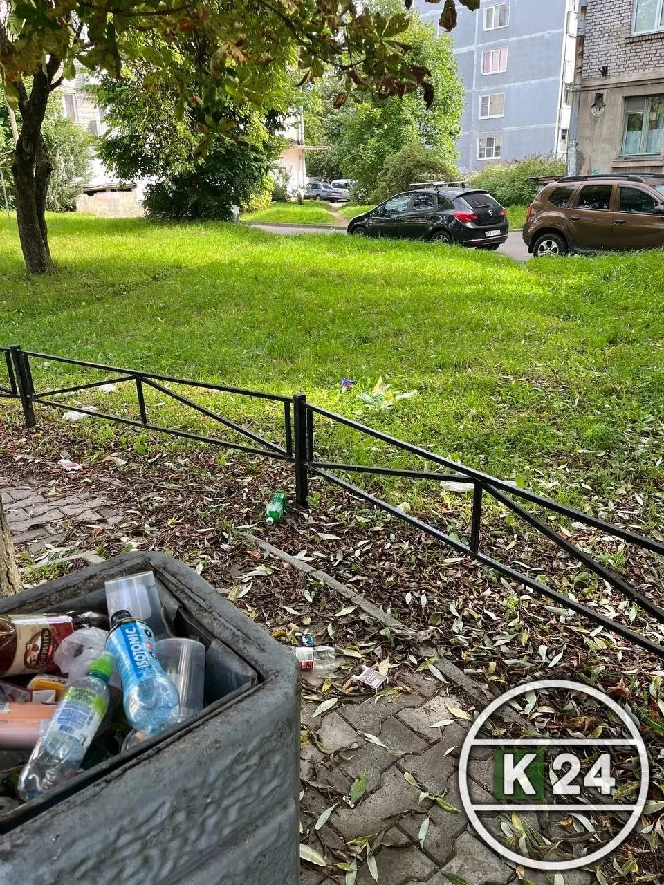 Кингисепп. 2-Я Линия 49 А, детская площадка ! Не убирается вообще ! Анонимно