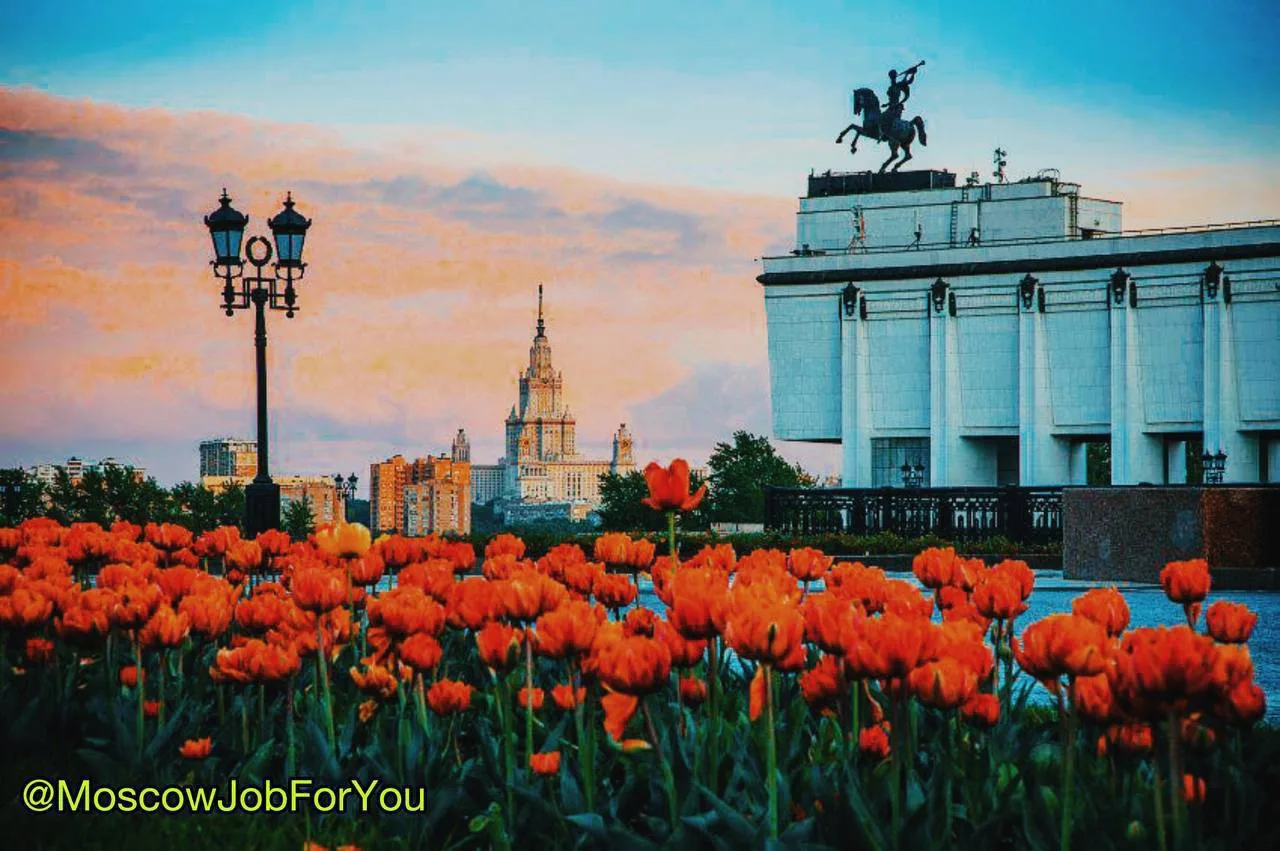 #Архитектор / #Дизайнер в «ВИТЕКС-С»
 
Задачи: 
— Разработка технических заданий на проектирование р