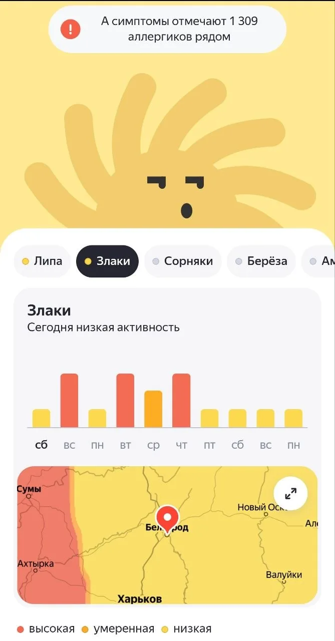 Белгородцев, чувствительных к пыльце, предупреждают об обострении аллергии. 

В регионе сейчас наблю