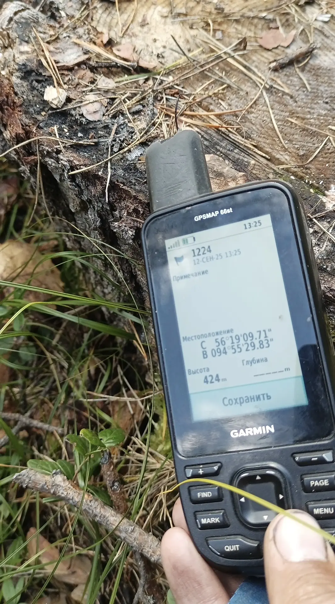 🌲 «Сверх плана»: в Канске перед судом предстанет мастер лесозаготовок за незаконную рубку на 3,6 мл