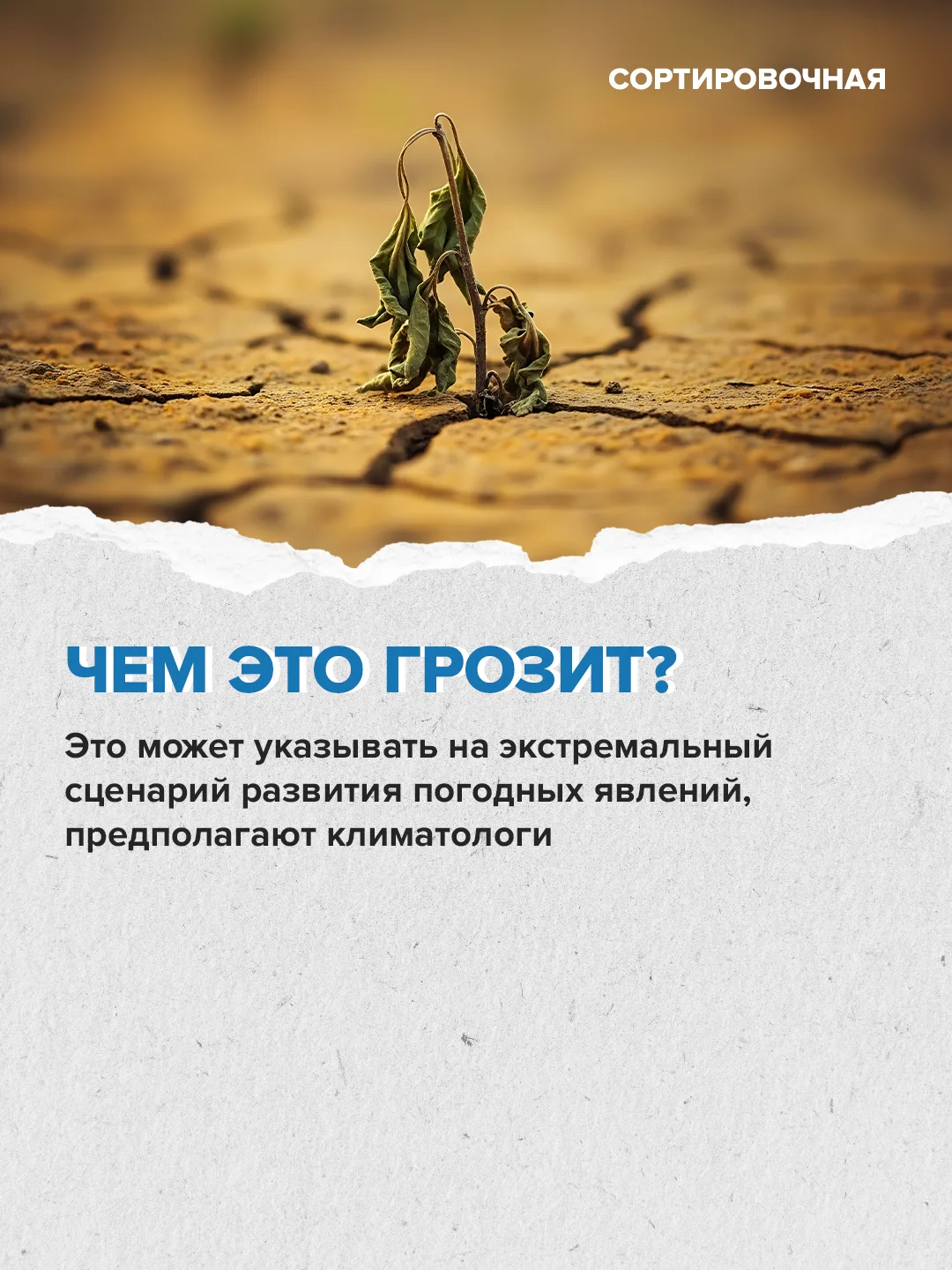 Изображение 4 к публикации «Сортировочная»