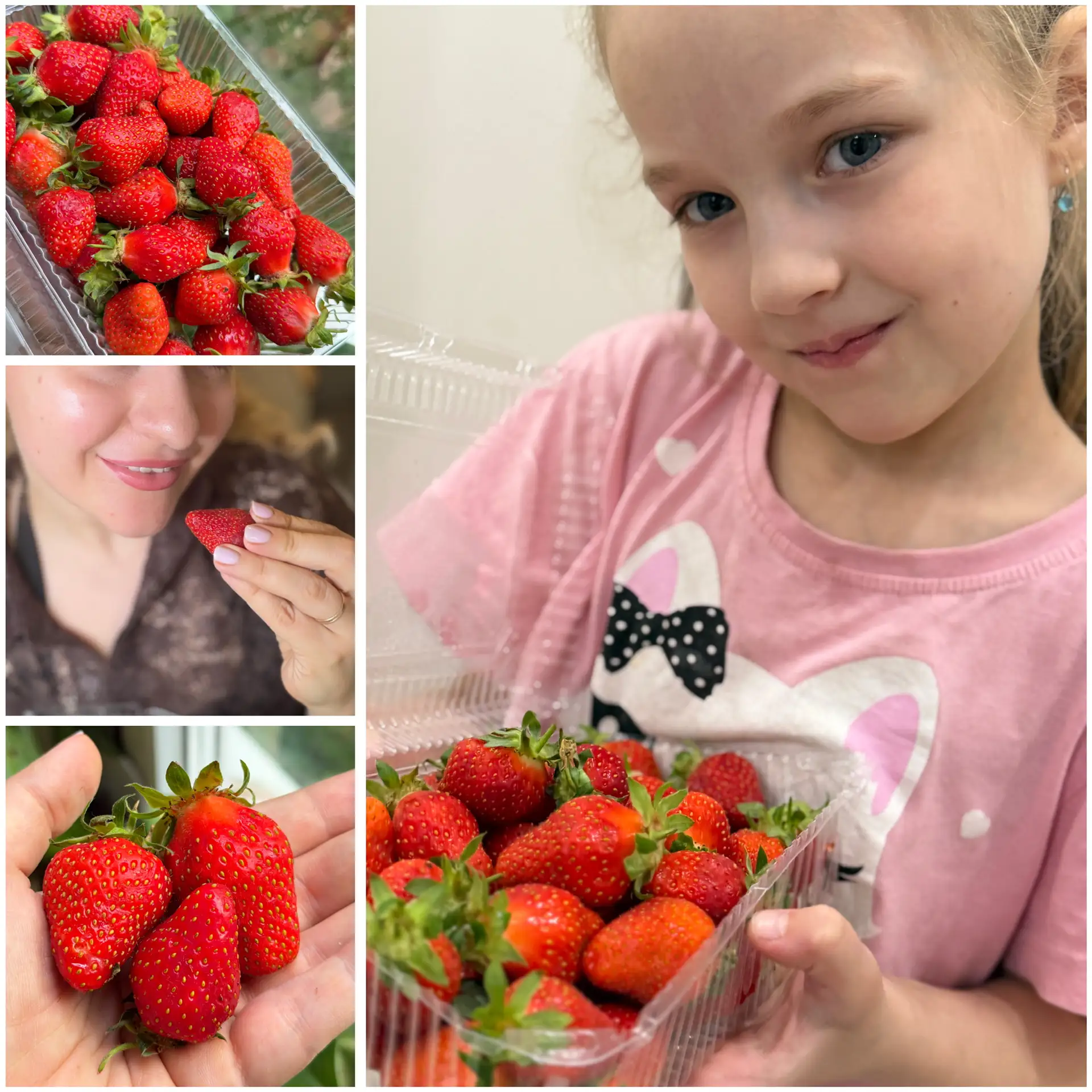 Лето официально началось: клубника сейчас на пике вкуса и пользы!