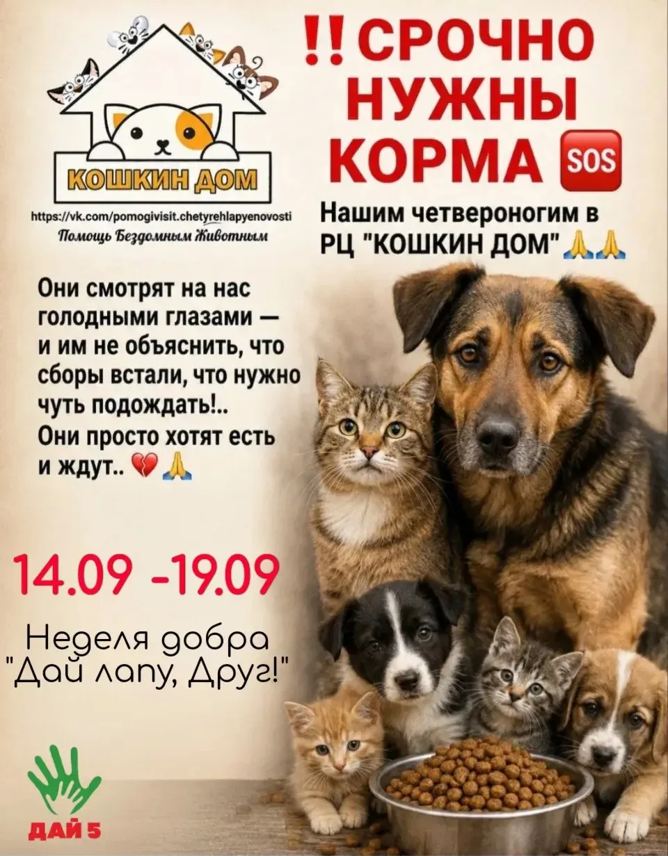 ❤️ Неделя добра — время творить чудеса! ❤️