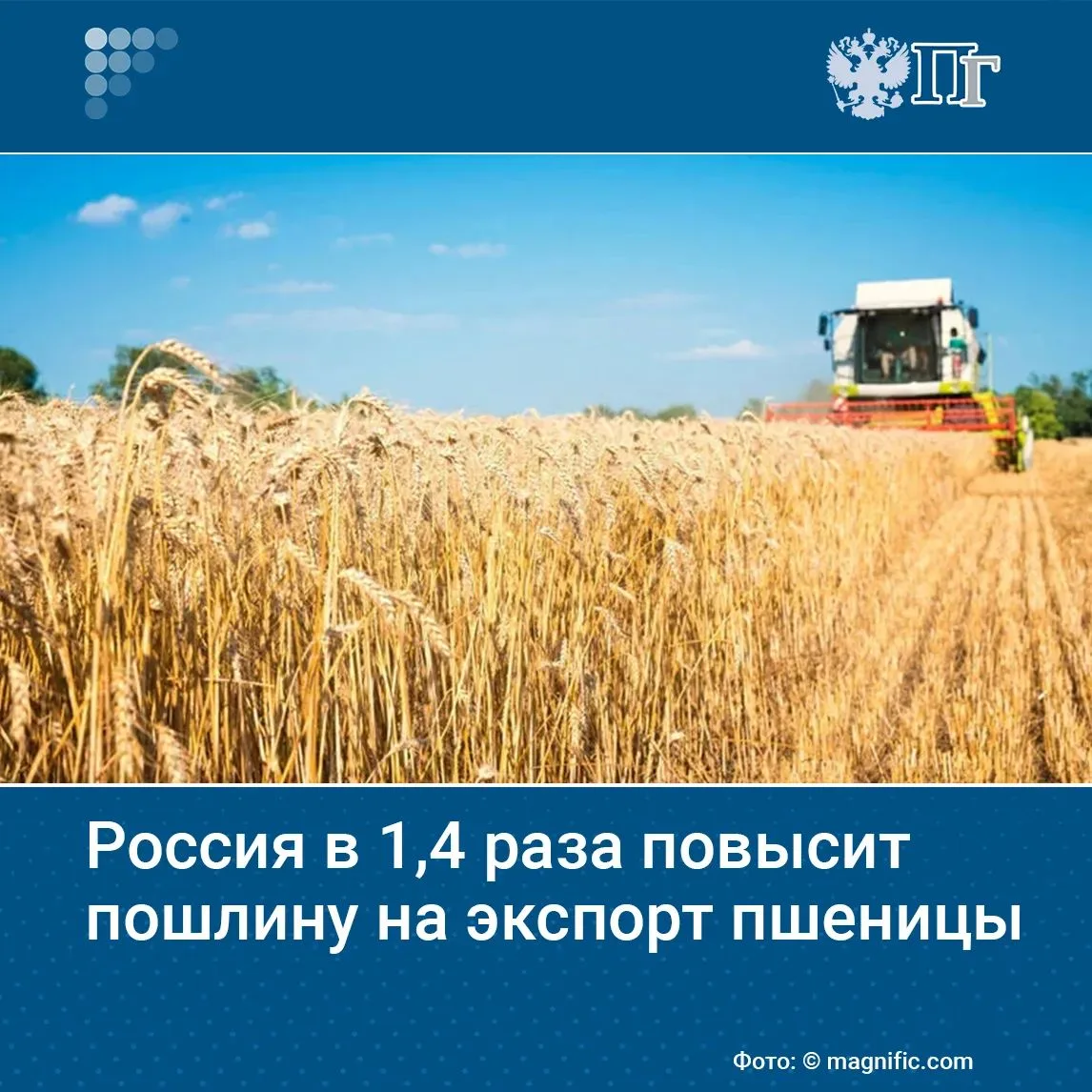 Пошлина на экспорт российской пшеницы с 26 августа вырастет в 1,4 раза, до 1012,1 рубля...