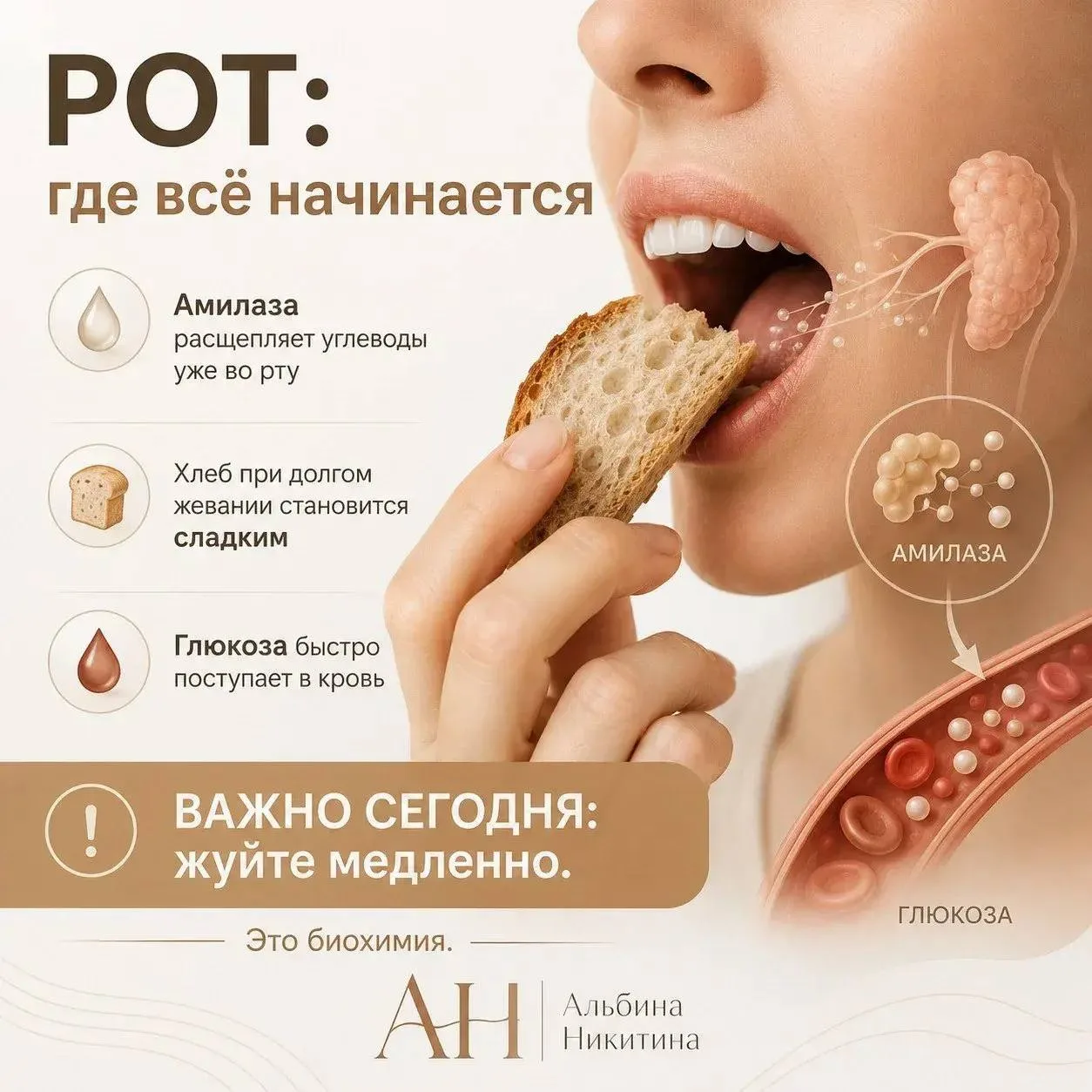 РОТ: где всё начинается