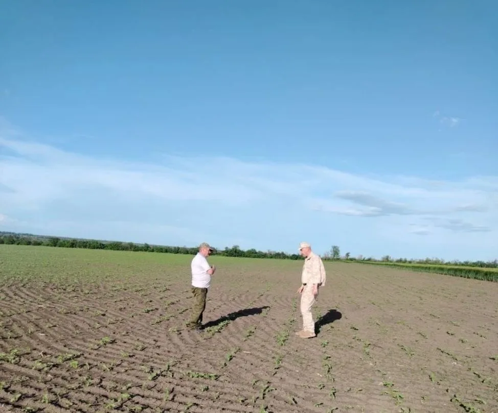 🌾🌽Атаман Тбилисского РКО  провел мониторинг полей после непогоды.