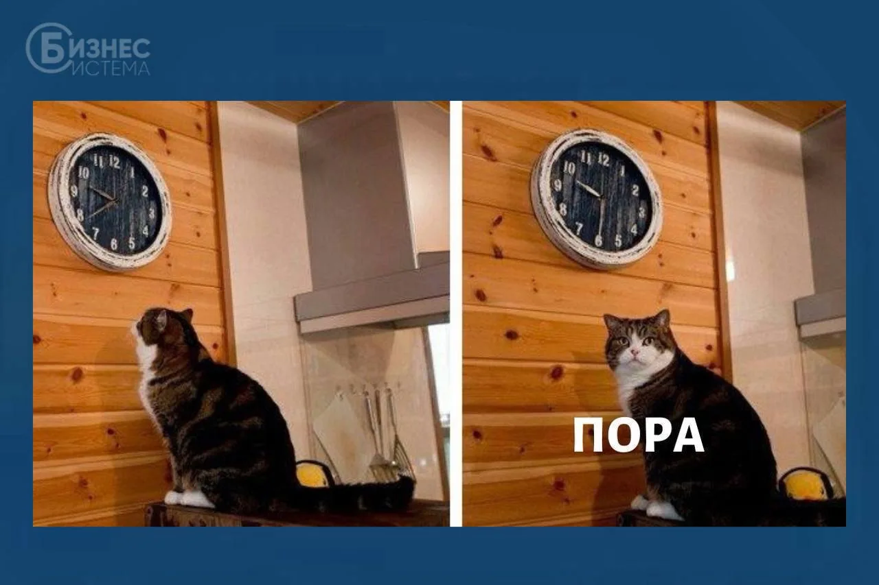 🗓ВСЕГО 6 ДНЕЙ ДО КОНЦА МЕСЯЦА — САМОЕ ВРЕМЯ ПОДВЕСТИ ИТОГИ АВГУСТА!🗓