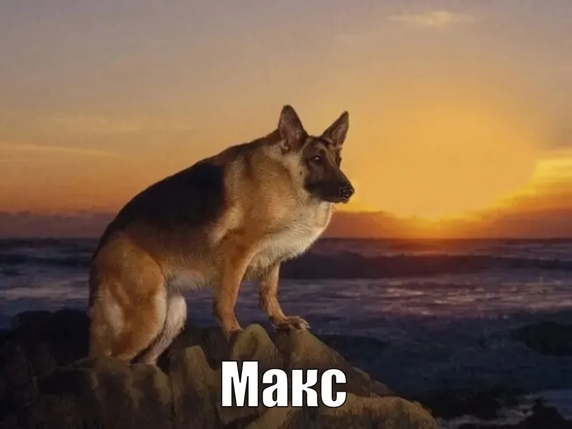 💀ИМЯ МАКС ОПУСТИЛОСЬ В РЕЙТИНГЕ
